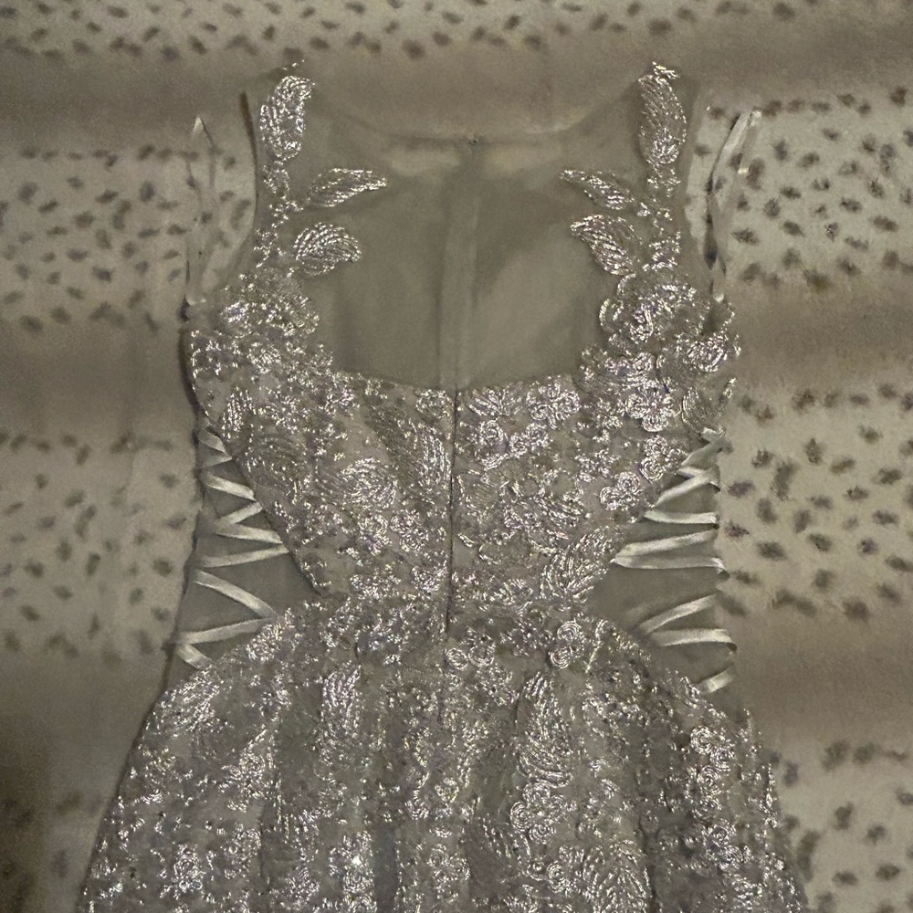 Silver Lace and Tulle Dress - Picture 5 of 5